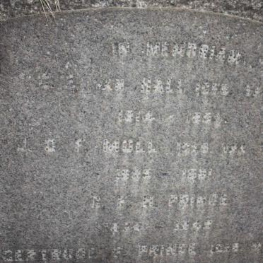 MOLL :: PRINCE :: BAM