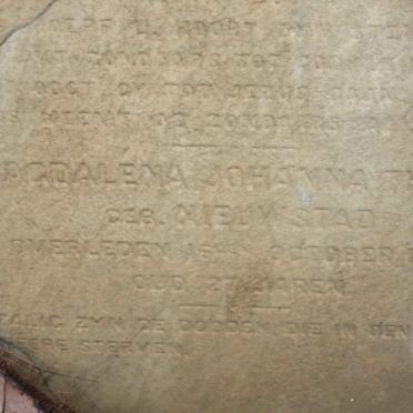 SOESMAN :: THEYS :: NIEUWSTAD 