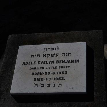 BENJAMIN Adele Evelyn 1953-1953