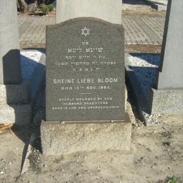 BLOOM Sheine Liebe -1965