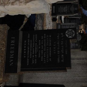 FREEDMAN Jeannie -1956