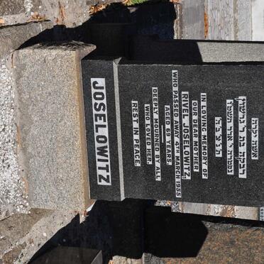 JOSELOWITZ Rivel -1955