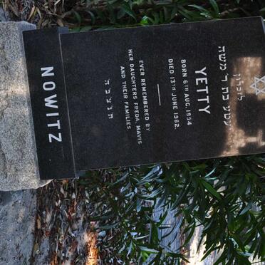 N - Vanne :: Surnames - N