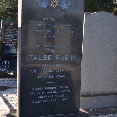 RUBIN Taube -1973