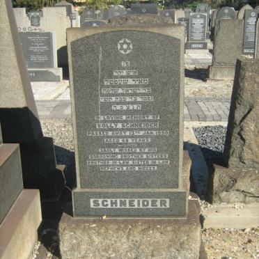 SCHNEIDER Solly -1950