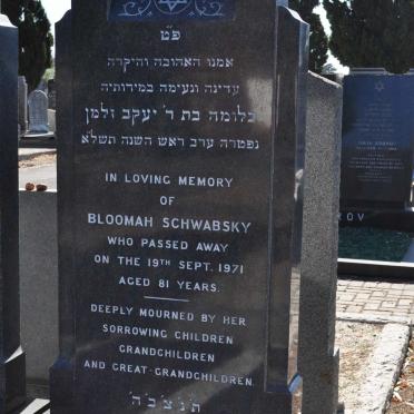 SCHWABSKY Bloomah -1971