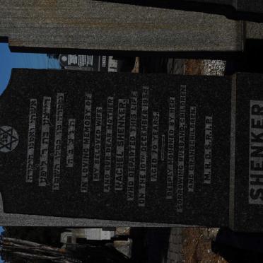 SHENKER Rachel -1954