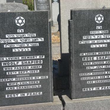 SHAPIRO Woolf -1957 &amp; Rose -1971