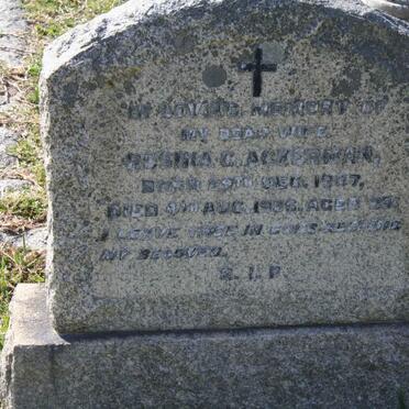 ACKERMAN Rosina C. 1907-1936