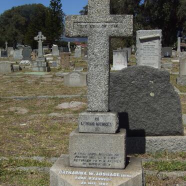 ADSHADE Catharina W. nee O’KENNEDY 1907-1945