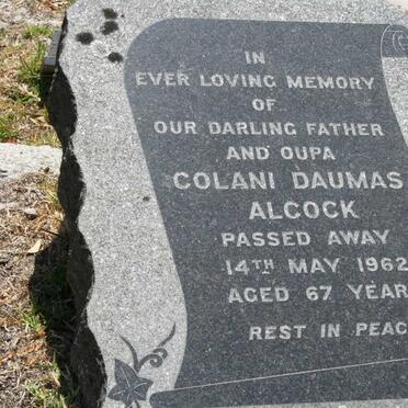 ALCOCK Colani Daumus -1962