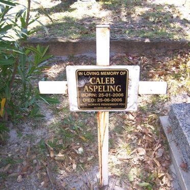 ASPELING Caleb 2006-2006