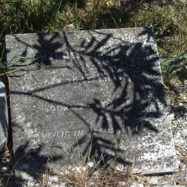 AUGUSTYN Johannes 19?8-19?8