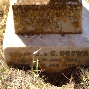 BROWN Cecil 1903-1907