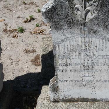 BROCKER Carlie 1920-1931