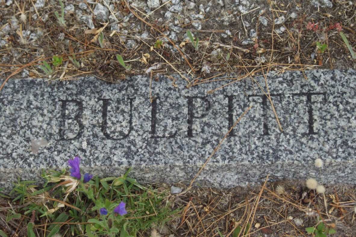 BULPITT
