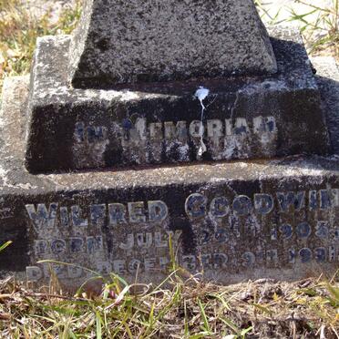 GOODWIN Wilfred 1905-1921