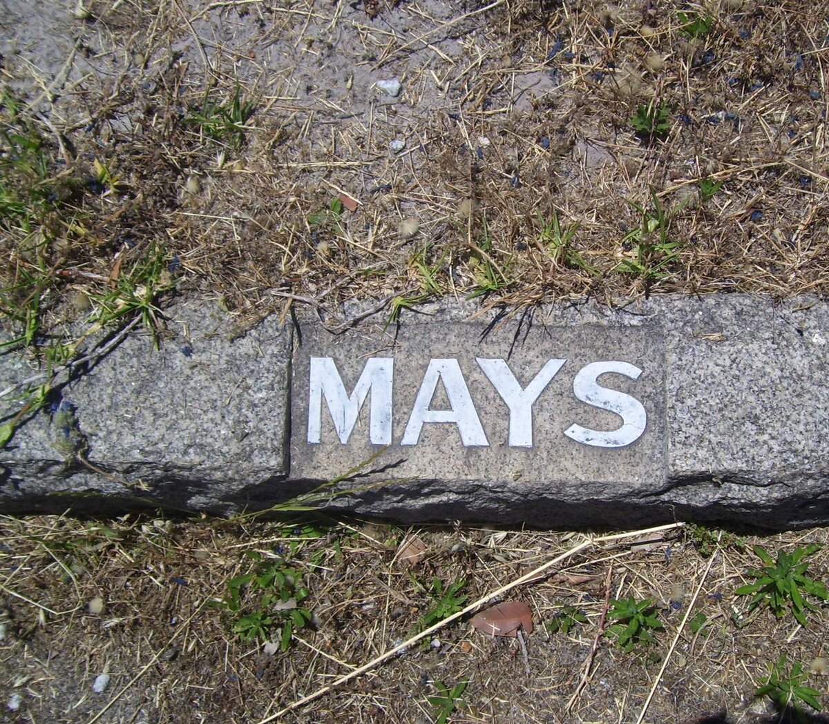 MAYS
