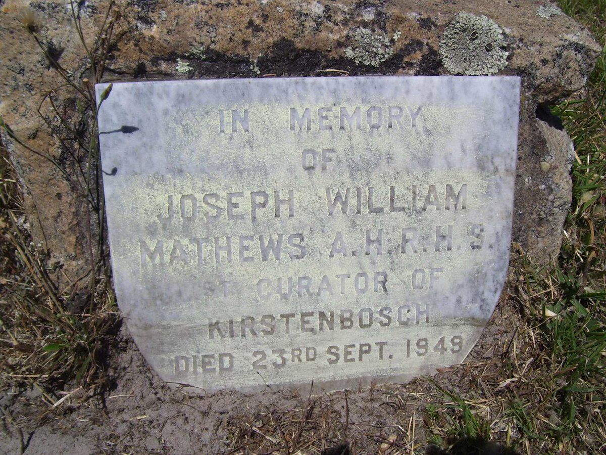 MATHEWS Joseph William -1949 & Elizabeth Menzies -19??
