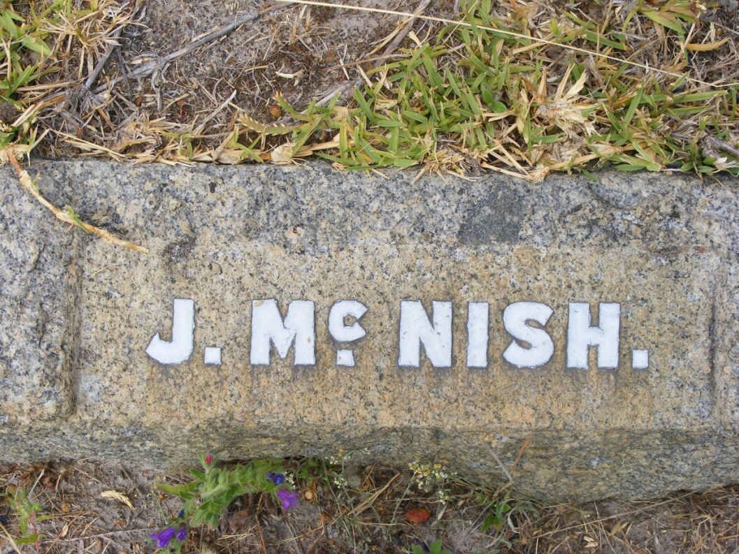MCNISH J.