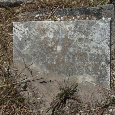 MORRIS Gilbert 1897-1966