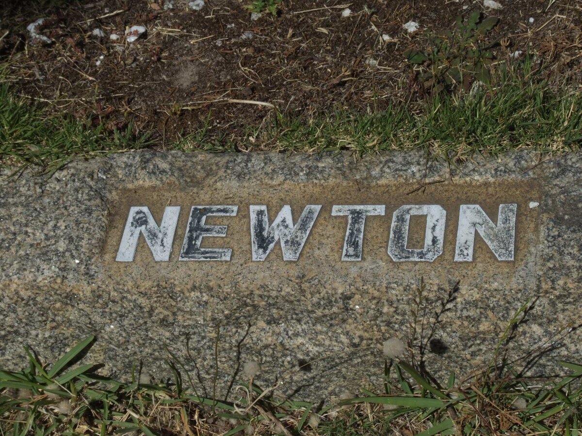 NEWTON ?