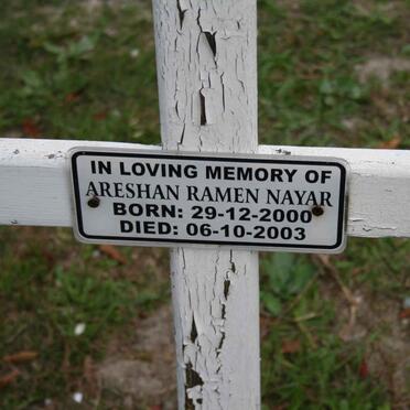 NAYAR Areshan Ramen 2000-2003