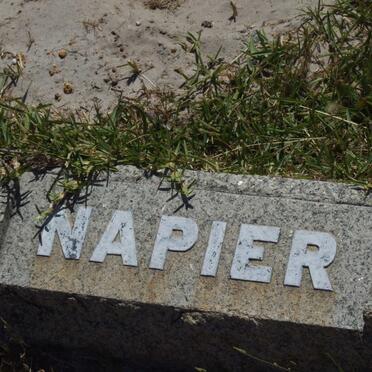 NAPIER ?