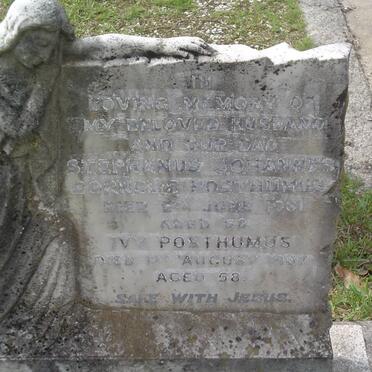 POSTHUMUS Stephanus Johannes Cornelis -1961 &amp; Ivy -19?7