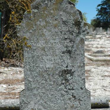 W - Surnames :: Vanne - W