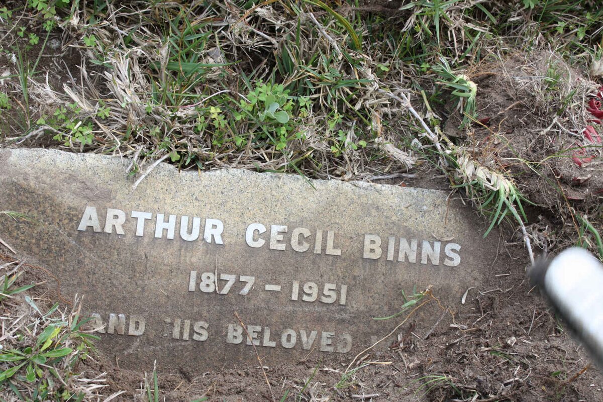 BINNS Arthur Cecil 1877-1951