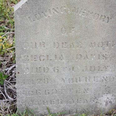 D - Vanne :: Surnames - D