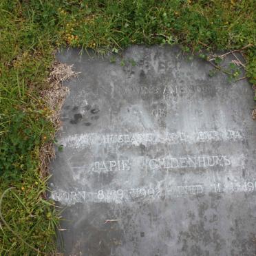 GILDENHUYS Japie 1902-1965