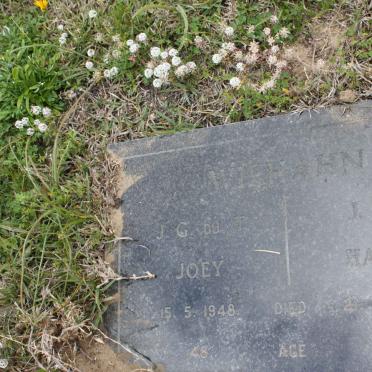 WIEHAHN J.G. du T. -1948 &amp; J.S.M. -1984