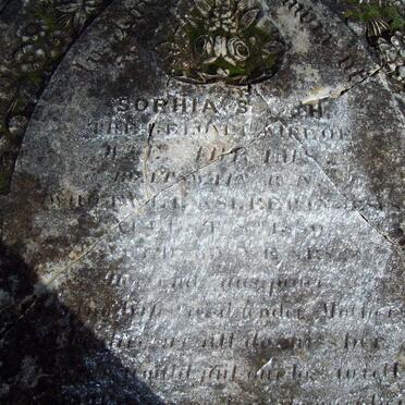 ABRAMS Sophia S. -18??