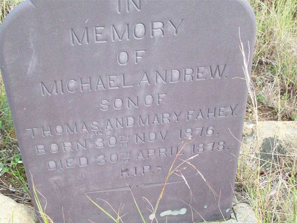 FAHEY Michael Andrew 1876-1878