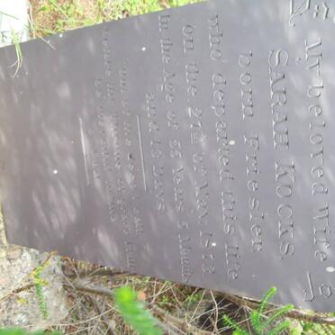 K - Surnames :: Vanne - K