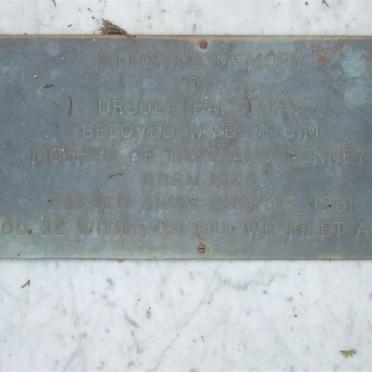 MAY Ursula 1926-1981