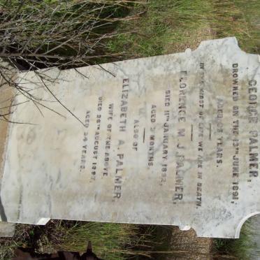 PALMER George -1891 &amp; Elizabeth A. -1897 :: PALMER Florence M. J. -1892