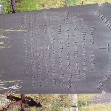 PURTILL Emily Mary -1878