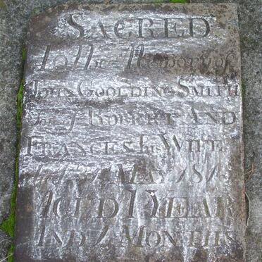 S - Surnames :: Vanne - S