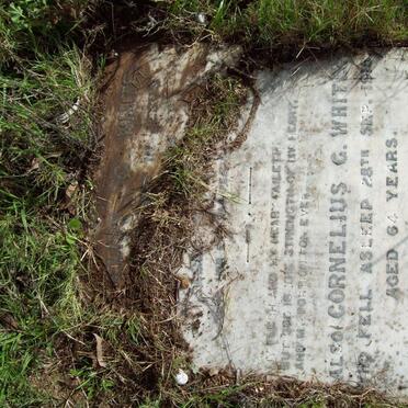 WHITE Cornelius G. -1916