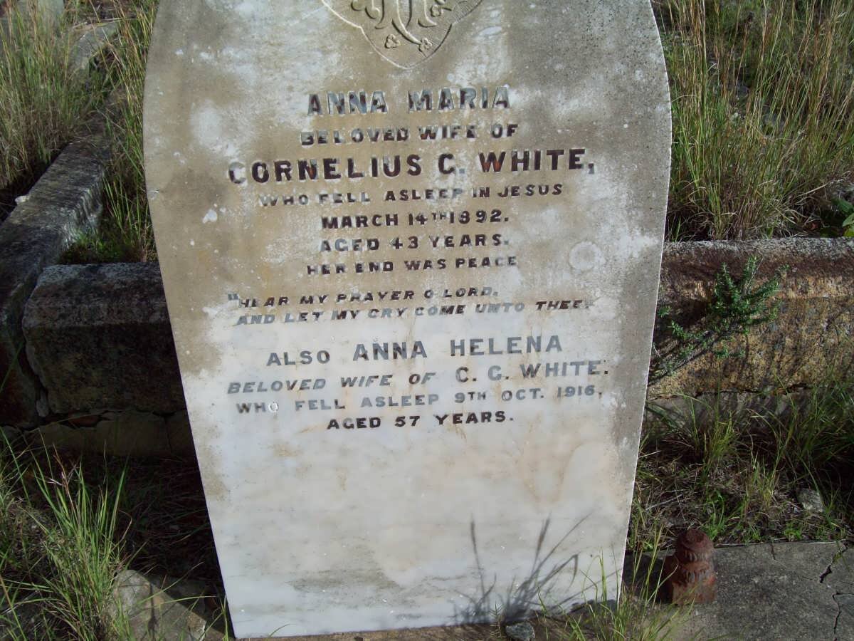 WHITE Anna Maria -1892 :: WHITE Anna Helena -1916