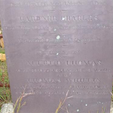 WHIFFEN Gardner Charles -1869 :: WHIFFEN Alfred Thomas -1871 ::  WHIFFEN Thomas -1872