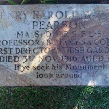 PEARSON Henry Harold Welch -1916