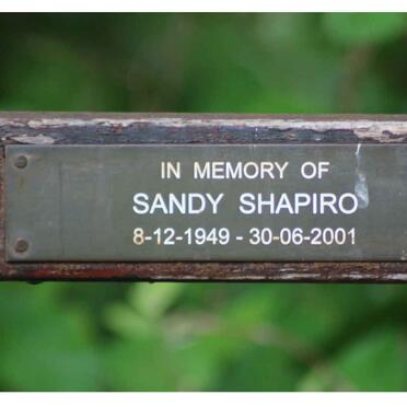 SHAPIRO Sandy 1949-2001