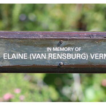 VERMAAK Elaine nee VAN RENSBURG