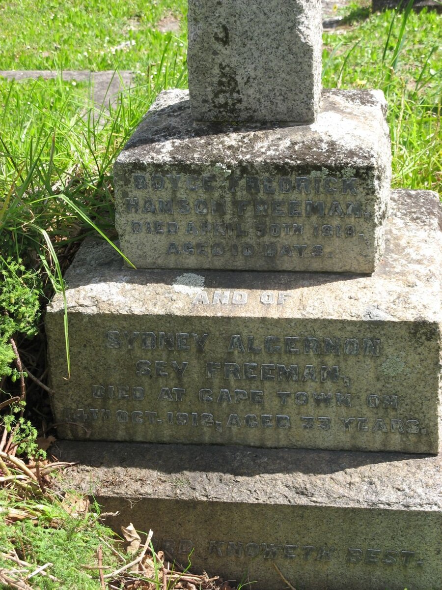 FREEMAN Sydney Algernon Sey -1918 :: FREEMAN Boyce Frederick Hanson -1918