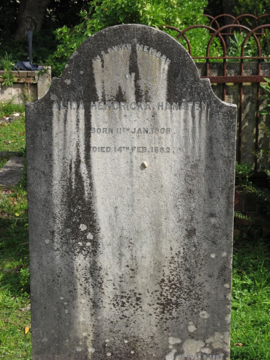 HANAFEY Alida Hendricka 1808-1882