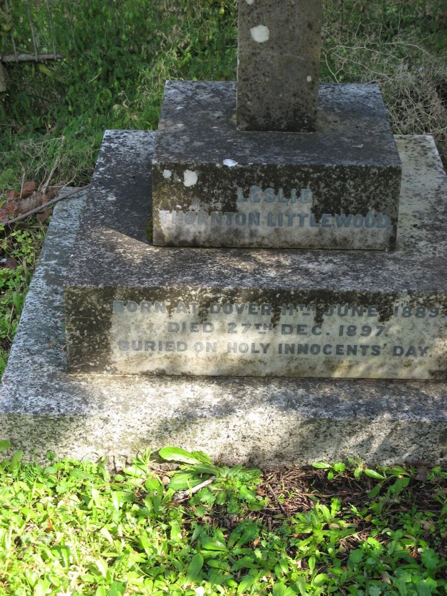 LITTLEWOOD Leslie Thornton 1889-1897